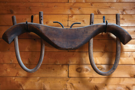 DIY Oxen Yoke Image